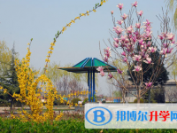 行唐启明中学2025年招生简章