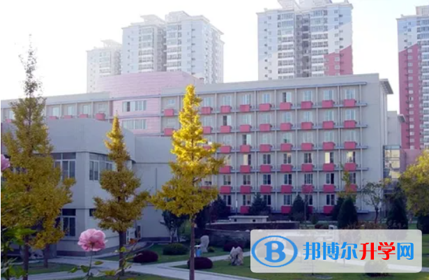 北京第八十中学2023年排名