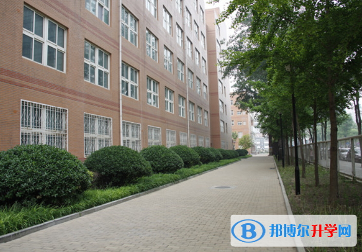 北京第八中学2023年招生录取分数线