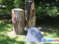 北京师范大学二附中2025年排名