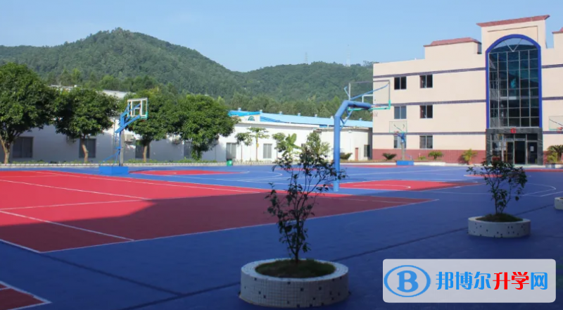 广州南方国际学校2023年招生政策