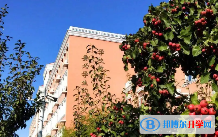北京大兴区第一中学2023年网站网址