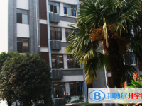 南京中华中学2025年招生代码