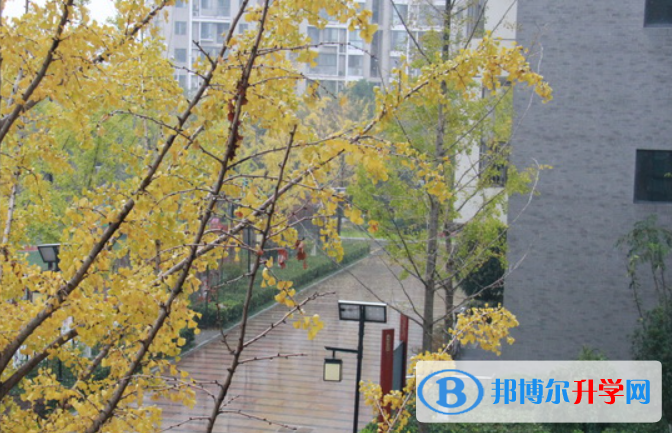 南京中华中学2023年网站网址 