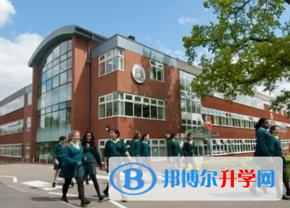 哈博国际学校2023年录取分数线