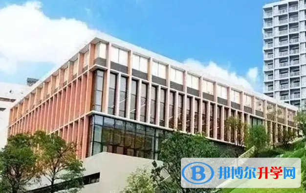 深圳国际交流学院2023年入学条件