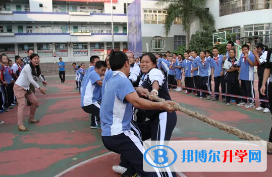 深圳红岭中学高中部国际班2023年学费标准