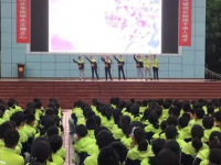 遂宁市三家中学2023年招生录取分数线