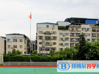 遂宁市三家中学2024年招生计划