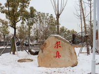 合肥第七中学2025年排名