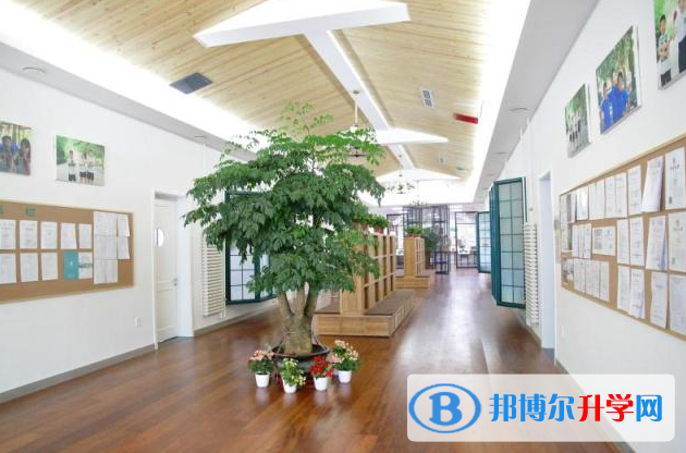 北京私立树人·瑞贝学校2022年11月校园开放日免费预约