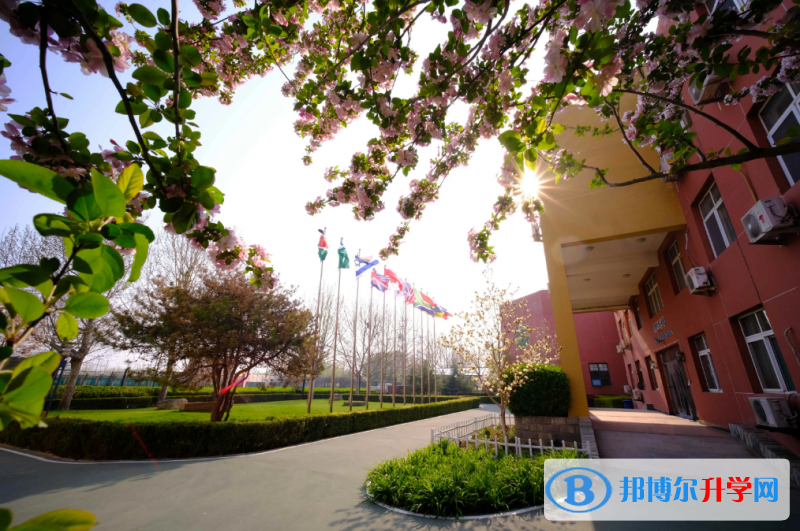 北京私立树人学校瑞贝学校2022年11月校园开放日免费预约