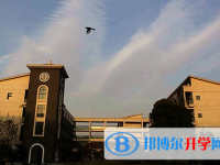 浙江省淳安中学2025年排名