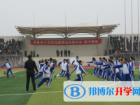 渠县中学2025年招生办联系电话