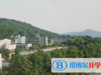 浙江大学附属中学2025年招生简章