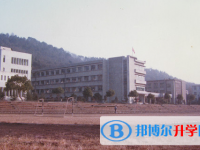 浙江大学附属中学2025年招生计划
