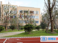 向明中学2025年招生代码