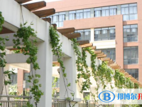 向明中学2025年报名条件、招生要求、招生对象