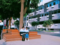 合肥第三中学2025年排名