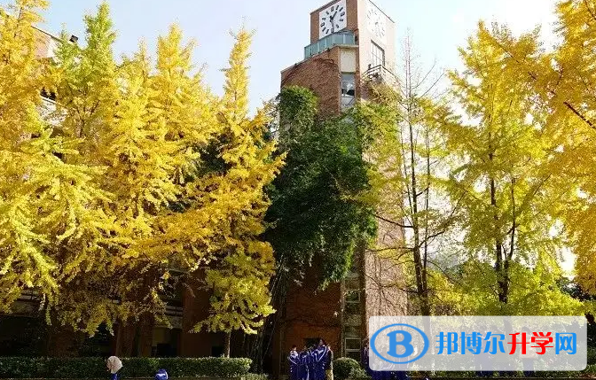 四川省郫县华西中学2023年招生录取分数线