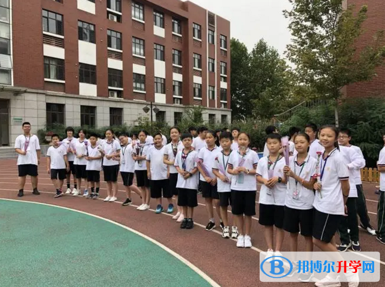 天津泰达枫叶国际学校2023年招生政策