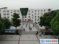 庐江金牛中学2025年招生代码