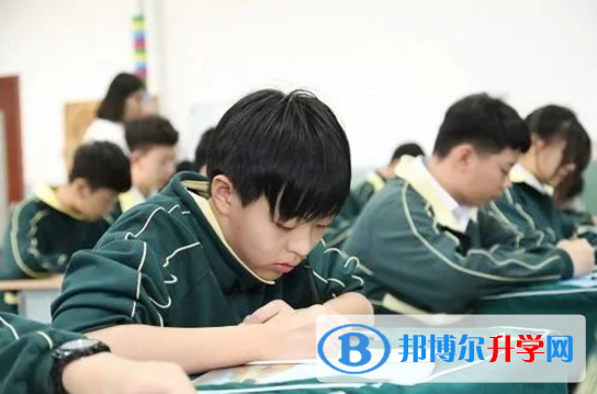 天津泰达枫叶国际学校靠谱吗