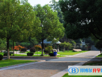 庐江金牛中学2025年排名