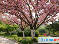 安徽肥东第一中学2025年排名