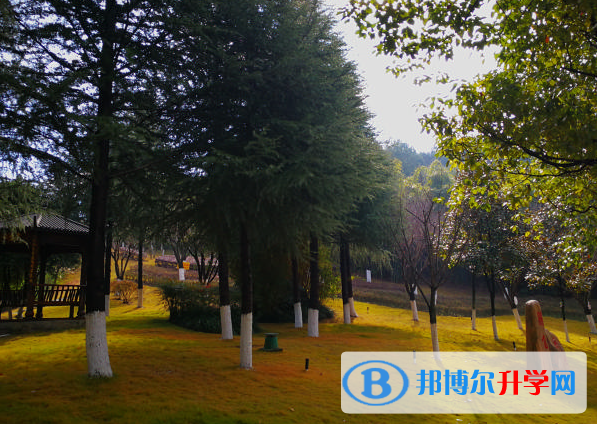 六盘水的高中排名一览表(2023)