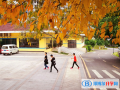 重庆万州赛德国际学校2023年学费标准
