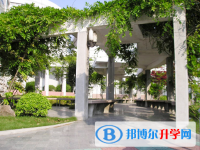 安徽肥东城关中学2025年招生代码