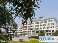 武汉私立高中学校有哪些(2025）