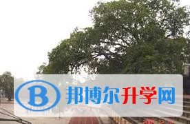 重庆长生桥中学校2023年课程体系