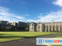 2022青岛实验高中分数线（青岛实验高中）