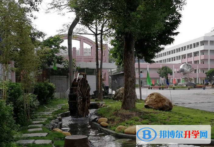 2022成都中考分数线（成都中考）