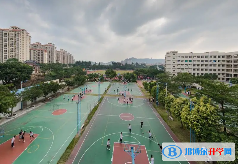 长春中考2022分数线与录取线