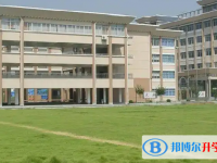 温州市平阳县鳌江中学2024年招生计划