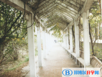 安徽六安第一中学2025年排名