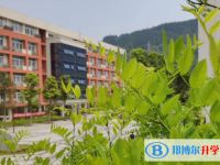 重庆市武隆中学2025年招生计划