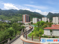 重庆市武隆中学2025年招生代码