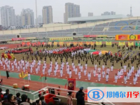 温州市白鹿外国语高级中学2025年招生计划