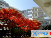 温州市苍南县龙港第二高级中学2025年招生办联系电话