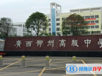 2025广西高中最新排名