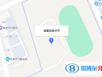 平阳县新鳌高级中学地址在哪里