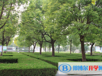 安徽铜陵第三中学2025年排名