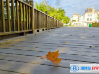 亳州蒙城第一中学2025年招生办联系电话