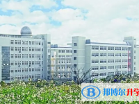 2025巴中市中考语文满分是多少？