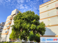 安徽涡阳第一中学2025年招生办联系电话