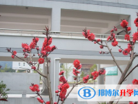 2025眉山市中考物理满分是多少？